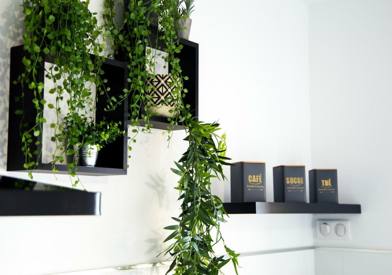 Апартаменты Vue Exceptionnelle Debut Cap Corse La Pier Noire San-Martino-di-Lota Экстерьер фото